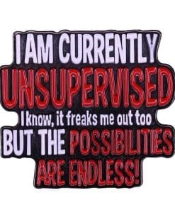 I Am Currently Unsupervised I Know It Freaks Me Out Too But The Possibilities Are Endless! s Enamel Pin