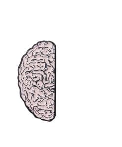 Alternative view of Anatomical Human Organ 'Brain & Heart' Set Enamel Pin