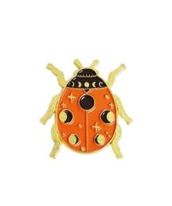 Cute Insect 'Ladybug' Enamel Pin