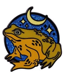 Frog 'Night Sky' Enamel Pin