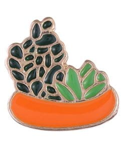 Potted Succulent 'Ice Plant and Citriformis' Enamel Pin