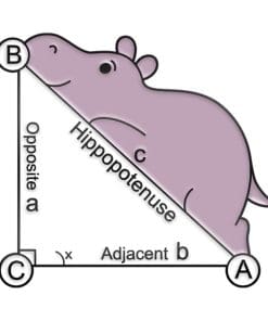 Math 'Find Axis | Hippopotamus' Enamel Pin