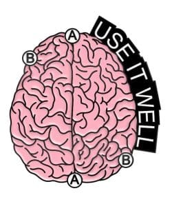 Brain 'Use It Well' Enamel Pin