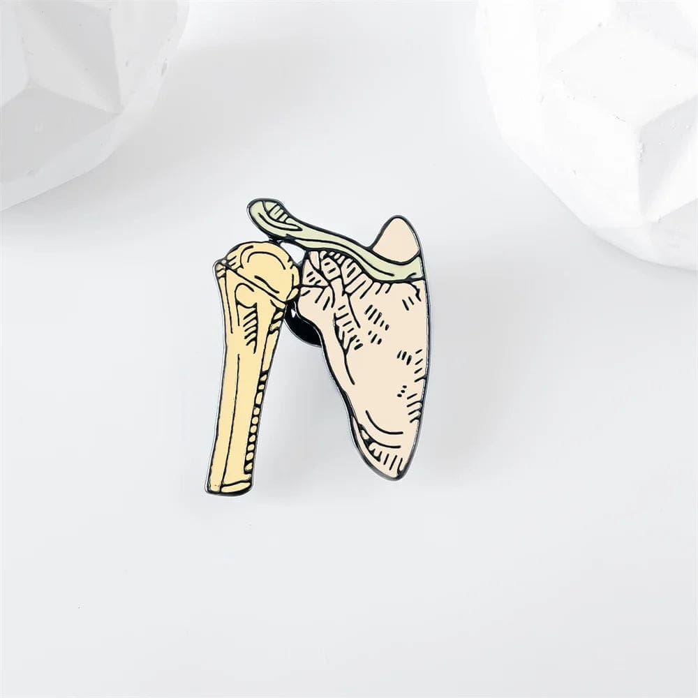 Body Skeleton 'Humerus and Scapula' Enamel Pin - Image 2