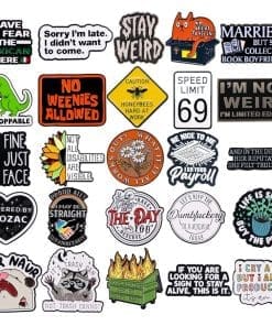 Alternative view of Swag Frog 'On The Outside I'm Hooting On The Inside I'm Hollering' Enamel Pin