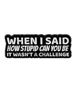 When I Said How Stupid Can You Be It Wasn't A Challenge Enamel Pin